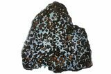 Polished Sericho Pallasite Meteorite ( g) Slice - Kenya #313664-1